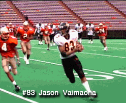 vai1.gif (32821 bytes)