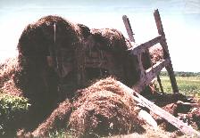 barn99at.jpg  12/18/1999