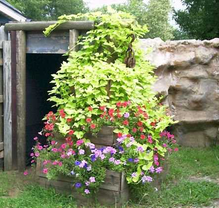 ________________________________________________________________________________