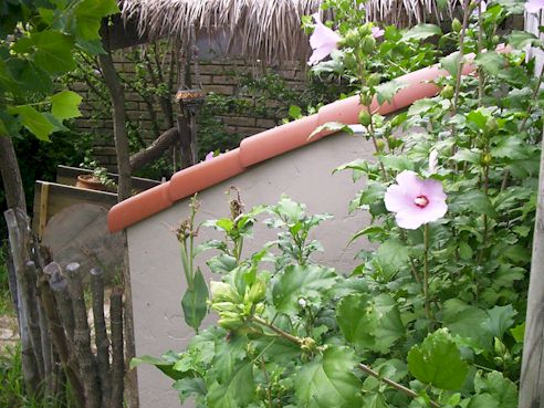 __________________________________________________________________________________________