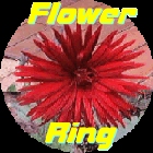 The Flower Ring Home