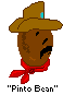 Pinto Bean