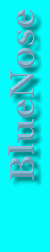 Bluenose (11360 bytes)