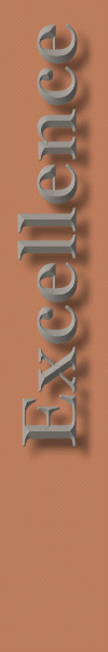 Excellence (19423 bytes)