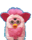 Furby Spulletjes