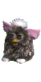 Alles over de Furby soorten en kleuren