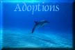 Adoptions