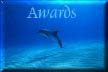 Awards