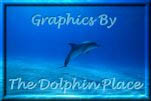 Click to go to The Dolphin Place