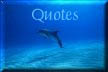 Quotes