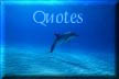 Quotes