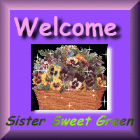 A welcome from Sister Green