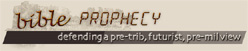 Bible Prophecy: Defending a Pre Trib, Futurist, Pre Mil View