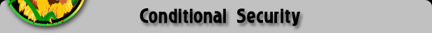 Conditional Security