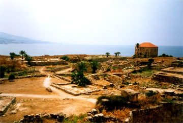 ���� ���� 36 ���� ���������� �����