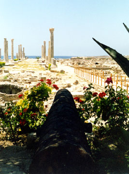 ���� ����� �� ����� ��� �������