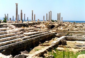 ������ ���� ���� �����