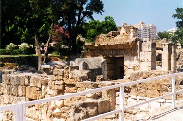 ��� �������