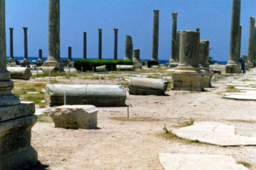 �����  �����  ������� 