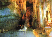 ����� ����