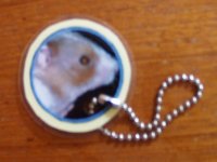 I used the chain of a Tamagotchi