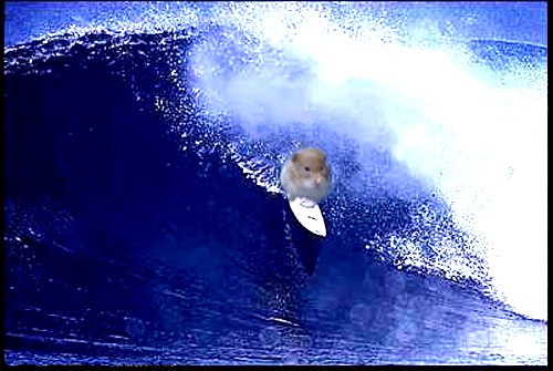 Wipeout...........oh yes