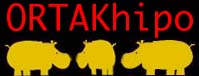 ORTAKhipo