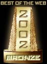 Neovision Bronze Web Award