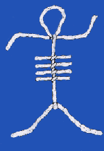 skeleton