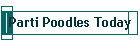 Parti Poodles Today