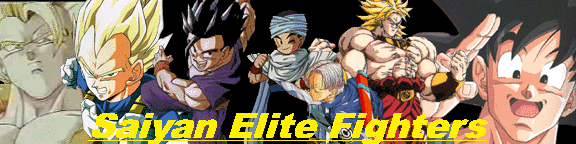 Saiyan Elite Fighters!