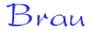 brau.gif (541 bytes)