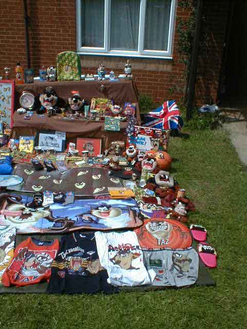 TAZstuff001.JPG (50385 bytes)