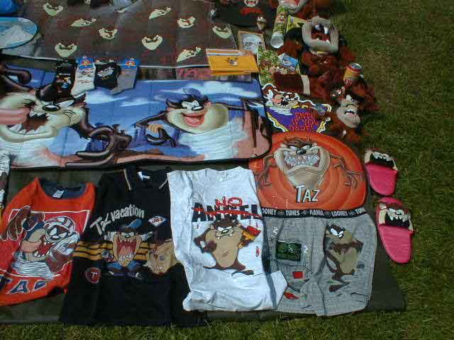 TAZstuff003.JPG (46253 bytes)