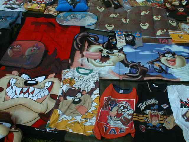 TAZstuff004.JPG (39790 bytes)