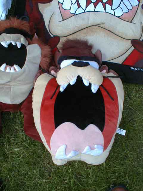 TAZstuff005.JPG (30892 bytes)