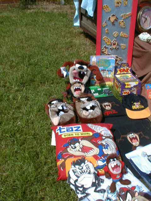 TAZstuff008.JPG (49294 bytes)