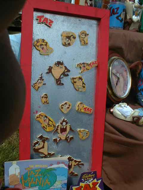 TAZstuff009.JPG (30050 bytes)