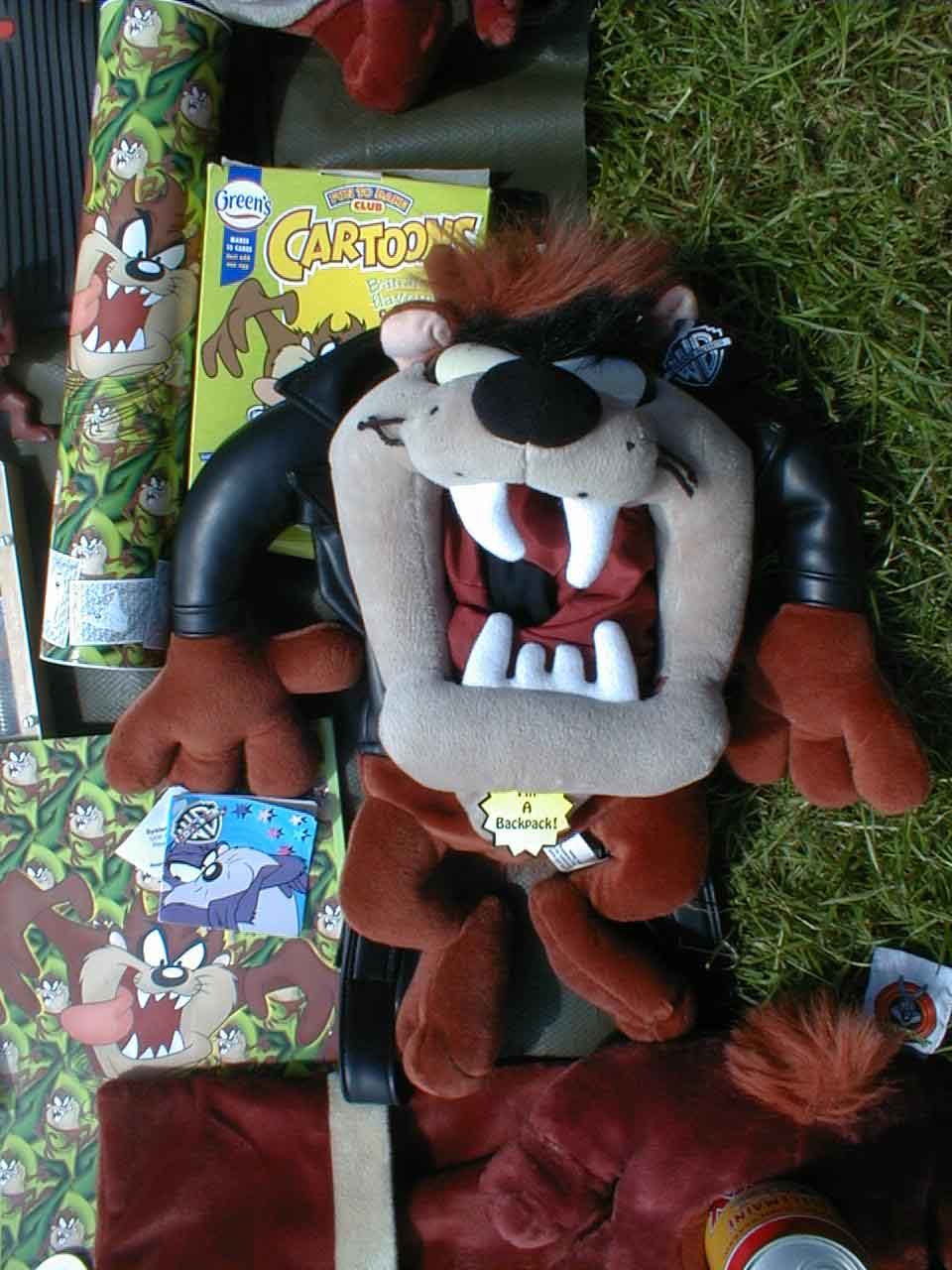 TAZstuff010.JPG (94966 bytes)