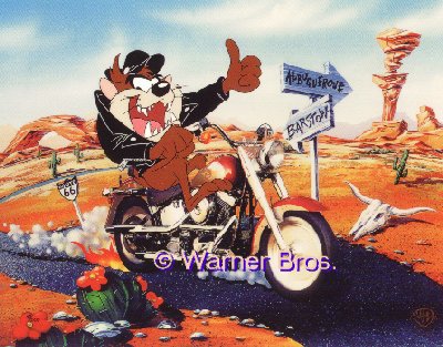 taz29.jpg (50131 bytes)