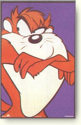 taz 10001886.jpg (21971 bytes)