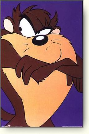 taz 10006248.jpg (19074 bytes)