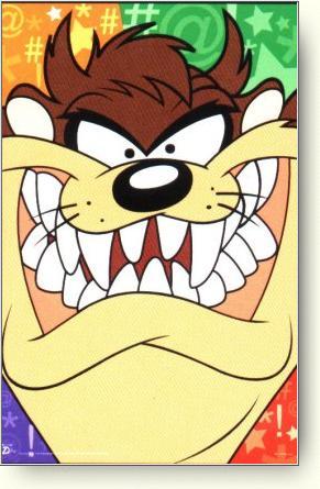 taz 10006373.jpg (28015 bytes)