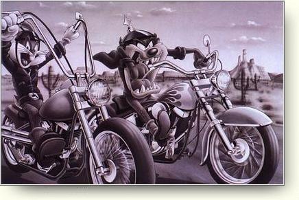 taz 10007801.jpg (33163 bytes)