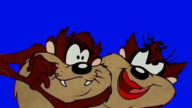 taz_02xx.JPG (17953 bytes)