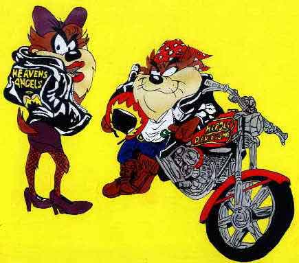 taz_08xx.JPG (33979 bytes)