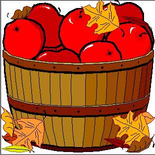 apple_basket