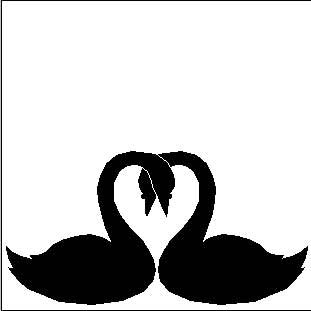 swans