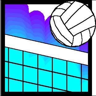 volleyball