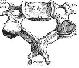 vertebrea  Diagram
